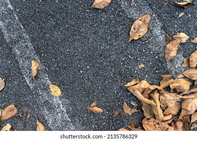 Dry Leaves Lay On Asphalt Road Background. Dry Leaf Fram. Top View. Flat Lay