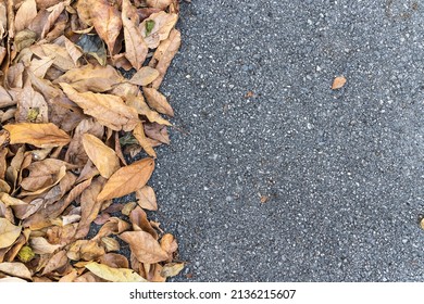 Dry Leaves Lay On Asphalt Road Background. Dry Leaf Fram. Top View. Flat Lay