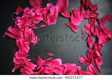 Similar – Image, Stock Photo Summer fruit and flowers
