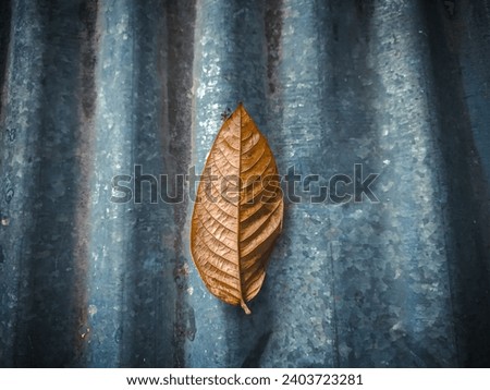 Similar – Image, Stock Photo Close-up of some isolated yellow leaves of rosa rubiginosa with a blurred background of nature