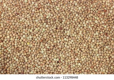 Dry Lentils Close Up Background