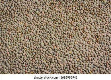 Dry Lentils For Food Texture