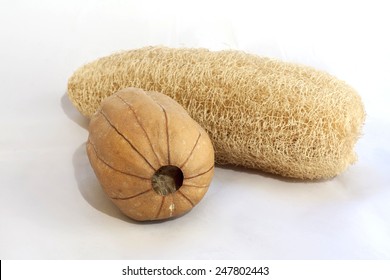 Dry Luffa Cylindrica