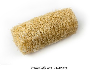 Dry Luffa Cylindrica