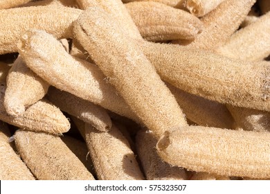 Dry Luffa Cylindrica.