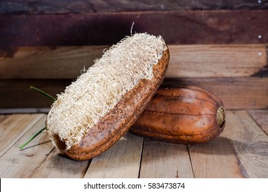 Dry Luffa On Wooden