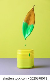 A dry magnolia leaf half painted with green paint levitate over a plastic can with dripping liquid. Creative concept of unfair marketing, greeenwashing, the end of summer.