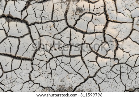 Dry mud texture