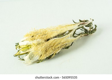  Dry Nightblooming Cereus/Chinese Herbal Medicines