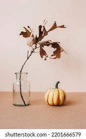 Dry Oak Branch In Glass Vase And Decorative Pumpkin On Beige Table. Autumn, Thanksgiving Concept. Front View