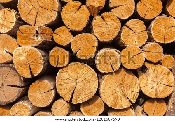 Dry Oak Firewood Stacked Pile Not Stock Photo Edit Now 1201607590