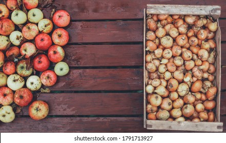 A Lot Of Dry Onions, Bunch Of Damaged Red Apples In Full Shabby Wooden Plank Container Box On Brown Table. Summer, Autumn Season Lean Poor, Bad Harvest. Countryside Farm. Coronavirus Food Crisis.