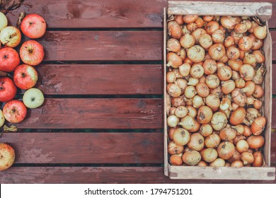 A Lot Of Dry Onions, Bunch Of Damaged Red Apples In Full Shabby Wooden Plank Container Box On Brown Table. Summer, Autumn Season Lean Poor, Bad Harvest. Countryside Farm. Coronavirus Food Crisis.