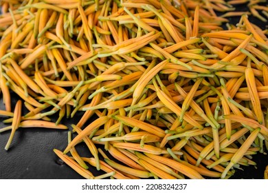 Dry Orange Day Lily Flower Harvest In The Farm