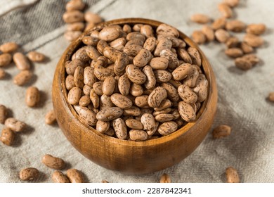Dry Organic Raw Pinto Beans in a Bowl