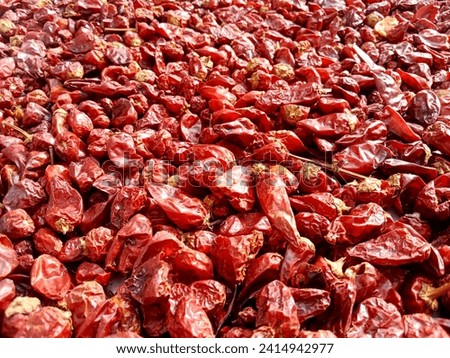 Dry organic red round chillies top view background or texture. Healthy spices, nuts, seeds and herbal products.