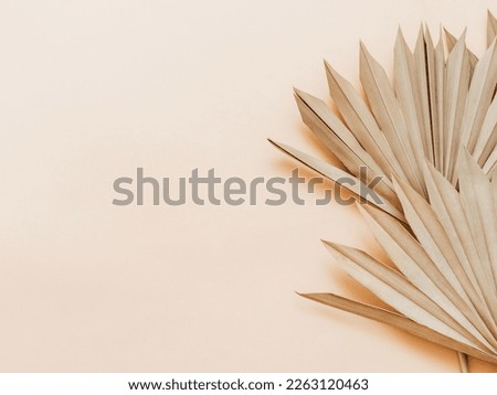 Dry palm leaves frame background. Close up of dried fan shaped tropical palm tree leafs. Natural background. Top view. Copy space