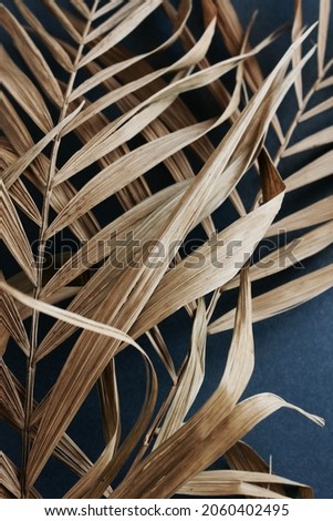 Dry palm leaves on dark blue background. Floral card. Poster