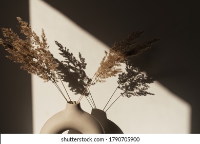 Dry pampas grass / reed in stylish vase. Shadows on the wall. Silhouette in sun light. Minimal interior decoration concept