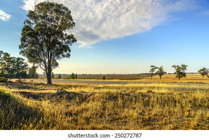 Dry Parched Outback Landscape