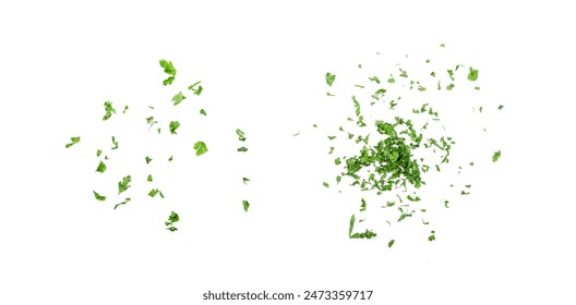 Dry parsley pile isolated. Crushed cilantro leaves heap, dried garden parsley, chervil flakes, corriender pileces on white background top view