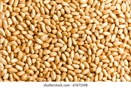 Dry peanut arrangement as background