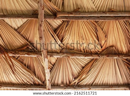 Dry plam leaves as a traditional roof of the house in the forest.