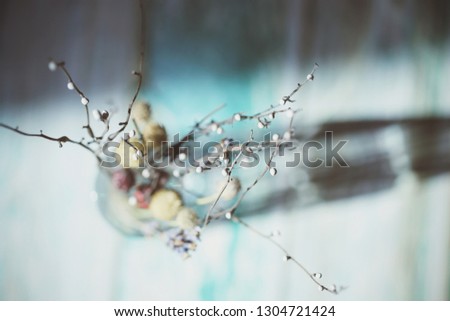 Similar – Image, Stock Photo abstract shapes with branches in nature