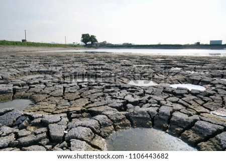 A dry pond caused by extreme hot and dry weather in summer, leaving only holes and little water at the bottom land 