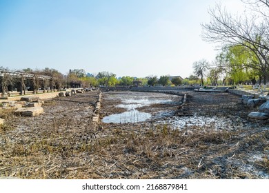 Dry Ponds And Withered Lotus Flowers In The Park