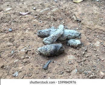 324 Dog dung on floor Images, Stock Photos & Vectors | Shutterstock