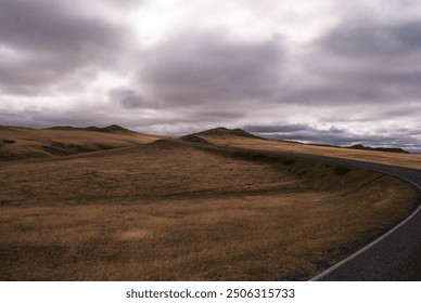 Dry prairie grass rises up against a curved paved road under a cloudy daylight sky - Powered by Shutterstock