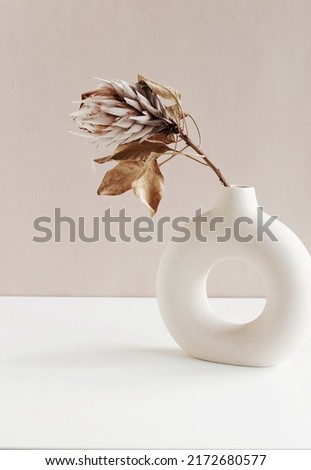 Dry Protea flower in modern ceramic vase on white table near beige wall .Copy space.Minimal Scandinavian neutral trendy colors interior decoration .