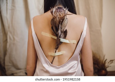Dry protea flower on duct-taped on female skin on back. Beautiful sensual woman posing with protea flower and scotch tape on back in bohemian style room. Unusual art photo. Healing and recovering