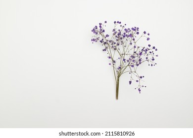 Dry purple gypsophila flowers on a white canvas. Top view, place to copy. - Shutterstock ID 2115810926