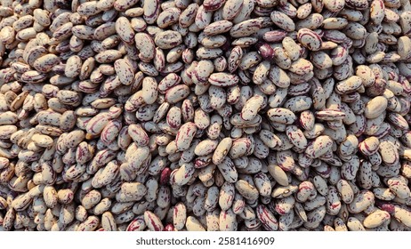 Dry Red Kidney Beans are a nutritious, high-protein legume, perfect for soups, stews, salads, and vegetarian dishes, offering a rich, hearty flavor and versatile cooking options