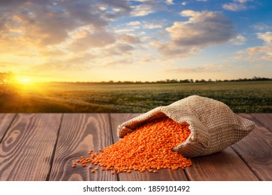 Dry Red Lentils In Burlap Sack On Wooden Table With Agriculture Field As Background