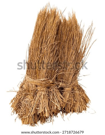 Dry Rice Straw Bundle Isolated - Natural Agriculture Hay Sheaf and Farm Harvest Material PNG A high-quality isolated PNG image of a neatly tied dry rice straw bundle