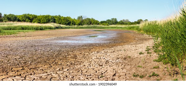 Dry riverbed with water remnant in puddles and cracked soil in hot summer time. Green forest and reed thickets on sides of waterless river in drought. - Powered by Shutterstock