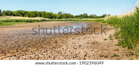 Dry riverbed with water remnant in puddles and cracked soil in hot summer time. Green forest and reed thickets on sides of waterless river in drought.