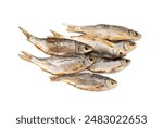 Dry roach, salted fish isolated, dried rutilus, dehydrated vobla, taranka beer snack, whole salted and dried fish, prepared roach seafood, crucian carp on white background