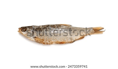 Similar – Image, Stock Photo Dried fish dried fish on bamboo grid