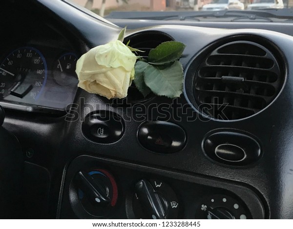 Dry rose in\
car
