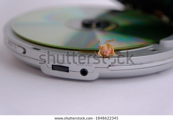 dry rose and CD player. dry rose lies on a\
portable compact disc\
player