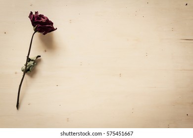 dry rose on wood table