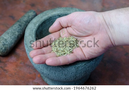 Dry rosemary in a man's hand close-up. A portion of dried spices in the palm of his hand. Graystone mortar with a pestle in the background. Grinding dried herbs and spices for further cooking.