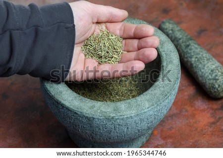 Dry rosemary in a man's hand close-up. A portion of dried spices in the palm of his hand. Graystone mortar with a pestle in the background. Grinding dried herbs and spices for further cooking.