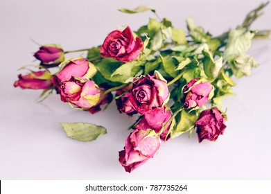 Dry roses bouquet
