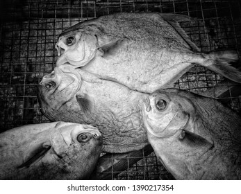 The Dry Salty Fish At The Wet Market.