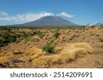 Dry savanna grasslands with Mount Agung Bali, Indonesia in the background.
Enjoy Bali.